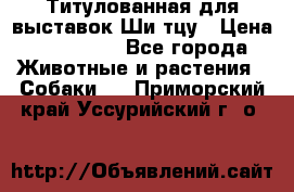 Титулованная для выставок Ши-тцу › Цена ­ 100 000 - Все города Животные и растения » Собаки   . Приморский край,Уссурийский г. о. 